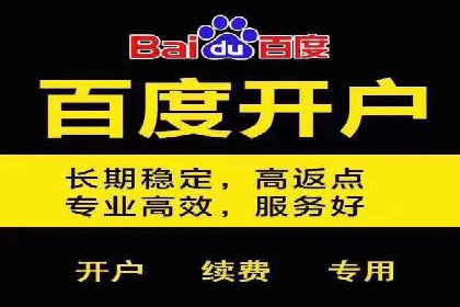 SEM托管代运营案例：优化广告投放策略